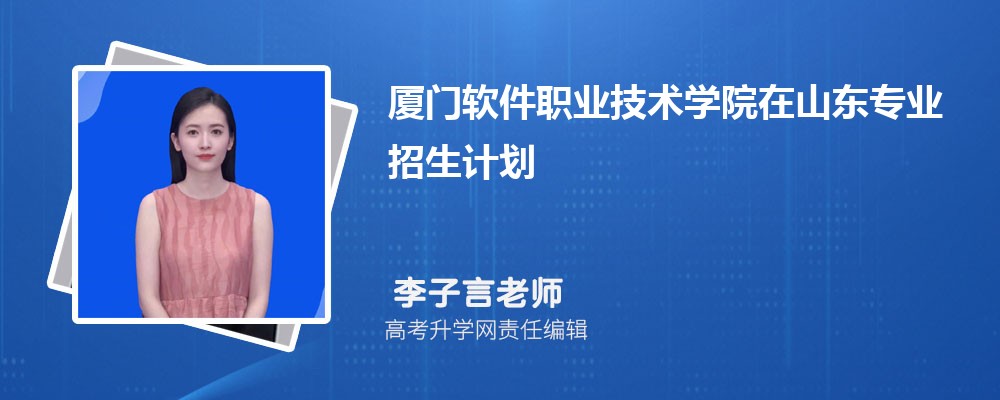 2025年厦门软件职业技术学院在山东省高考专业招生计划 软件技术专业（含人数与代码）